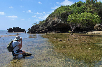 Pangani Beach