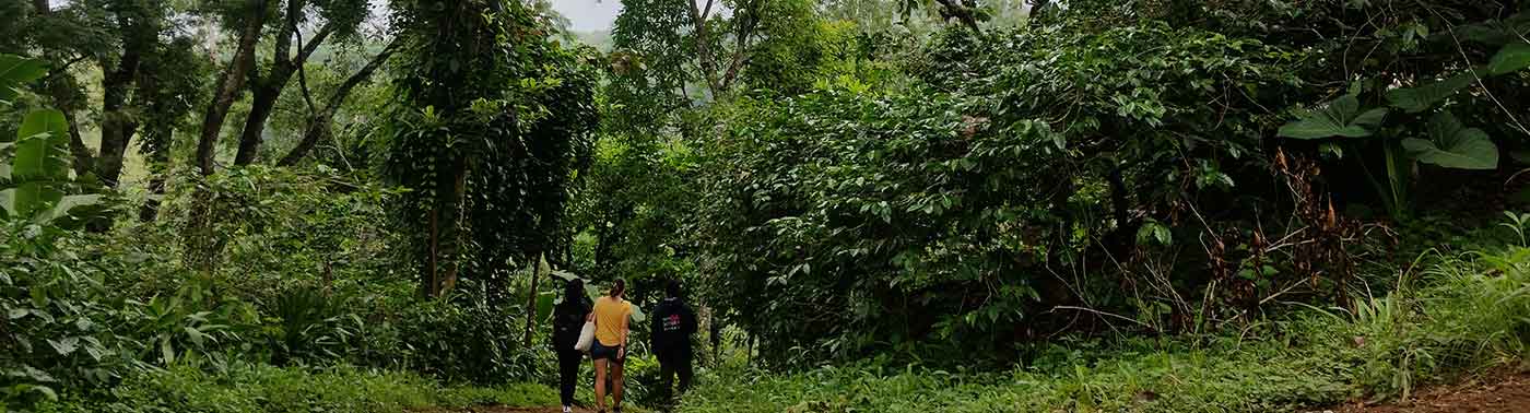 Hiking Day Trips