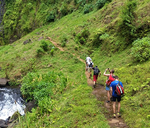 Hiking Day Trips