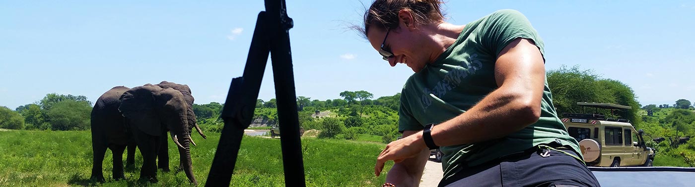 Safari Day Trips