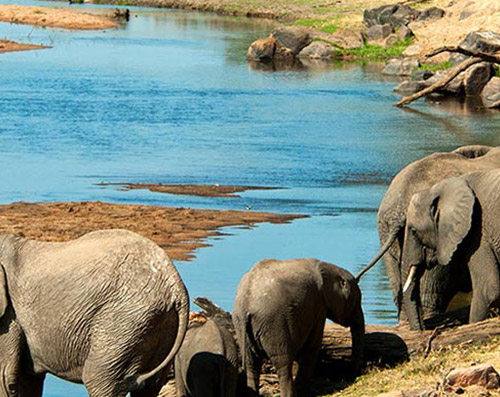 Ruaha National Park