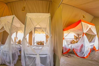 Kenzan Mara Tented Camp