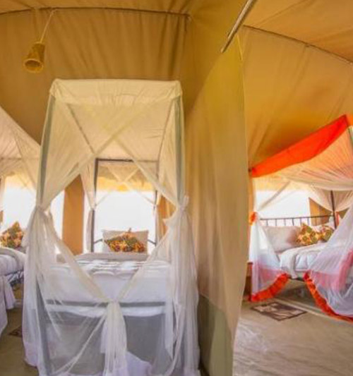Kenzan Mara Tented Camp