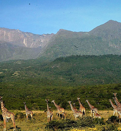 Mount Meru