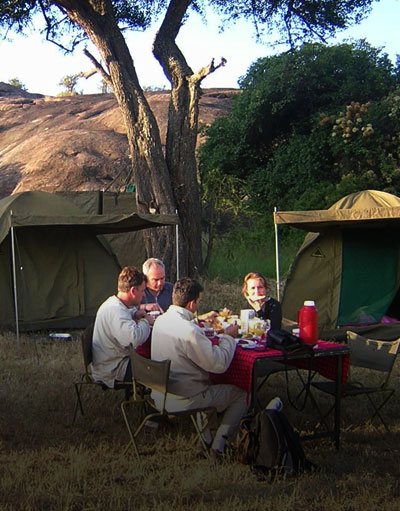 Tanzania Budget Camping Safari