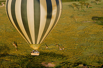 Serengeti Balloon Safari