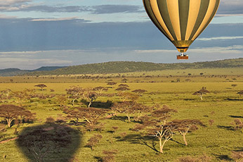 Serengeti Balloon Safari