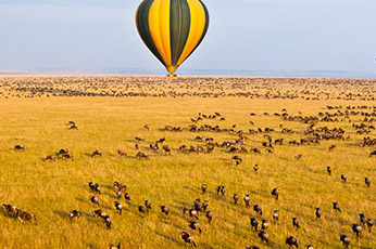 Serengeti Balloon Safari
