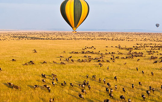 Serengeti Balloon Safari