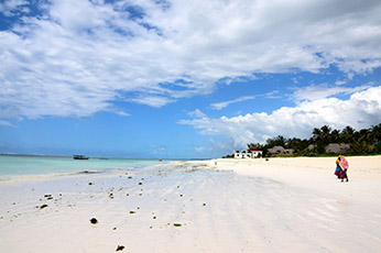  Tanzania Honeymoon Safari