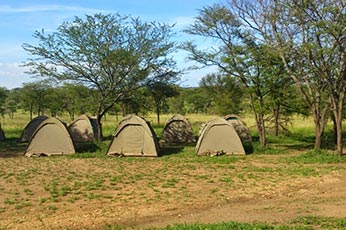 Tanzania Budget Camping Safari