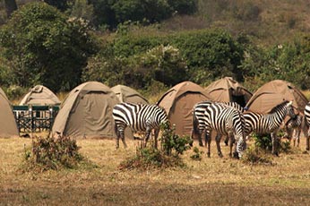 Tanzania Budget Camping Safari
