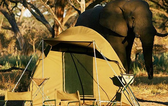 Tanzania Budget Camping Safari