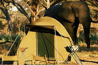 Tanzania Budget Camping Safari