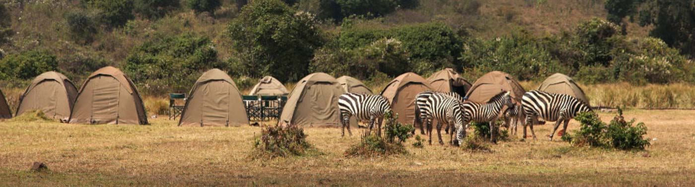 Tanzania Budget Camping Safari