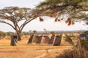 Tanzania Budget Camping Safari
