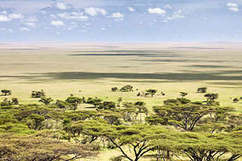 Serengeti Migration Safari