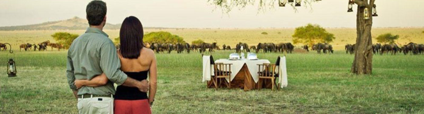 Tanzania Honeymoon Safari
