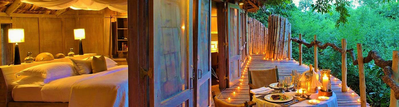 Tanzania Luxury Safari