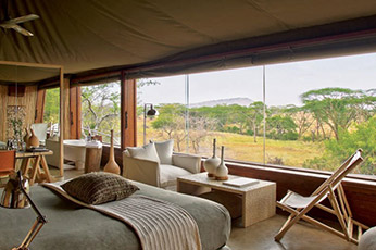 Tanzania Luxury Safari