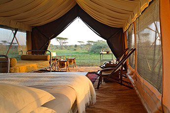 Tanzania Luxury Safari