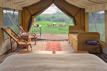 Tanzania Luxury Safari
