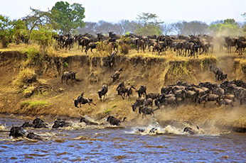Serengeti Migration Safari