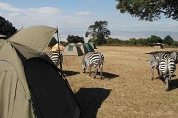 Tanzania Budget Camping Safari