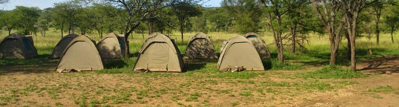 Tanzania Tours Safaris