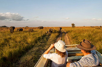 Tanzania Honeymoon Safari